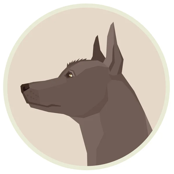 Collection chien Xoloitzcuintli Chien sans poils mexicain Style géométrique Avatar icône ronde — Image vectorielle