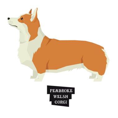 Köpek toplama Pembroke Welsh Corgi geometrik tarzı yalıtılmış nesne