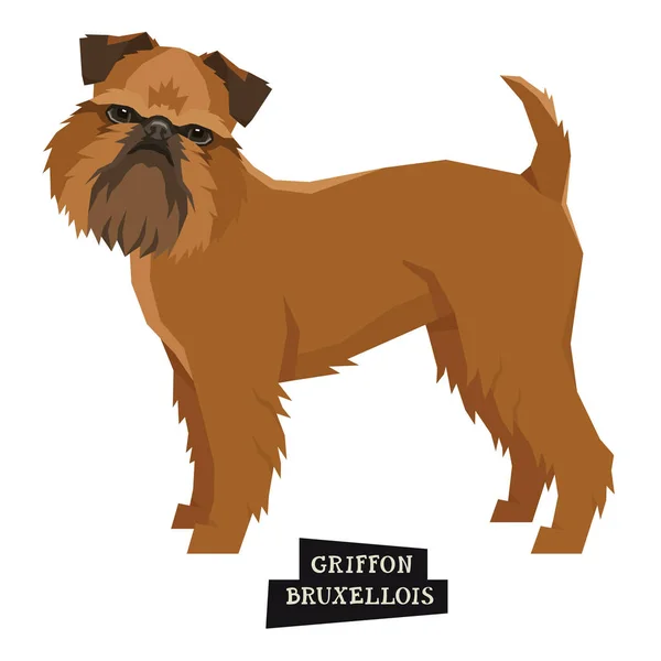 Colección perros Griffon Bruxellois Estilo geométrico Objeto aislado — Vector de stock