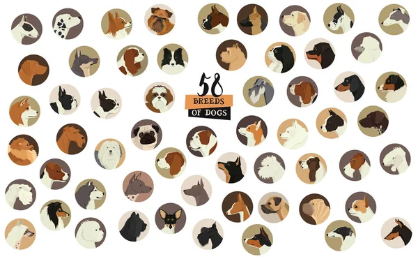 58 races de chiens Objets isolés Cadre rond — Image vectorielle