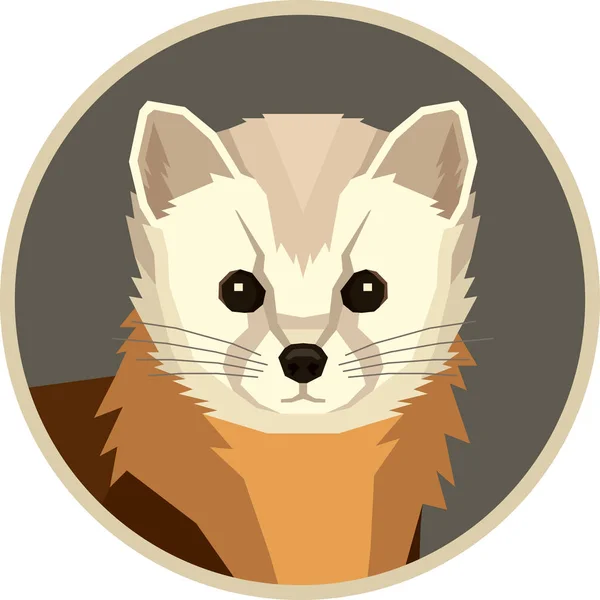 Wild animals Vector illustration Pine Marten Round frame Geometr — Stockový vektor