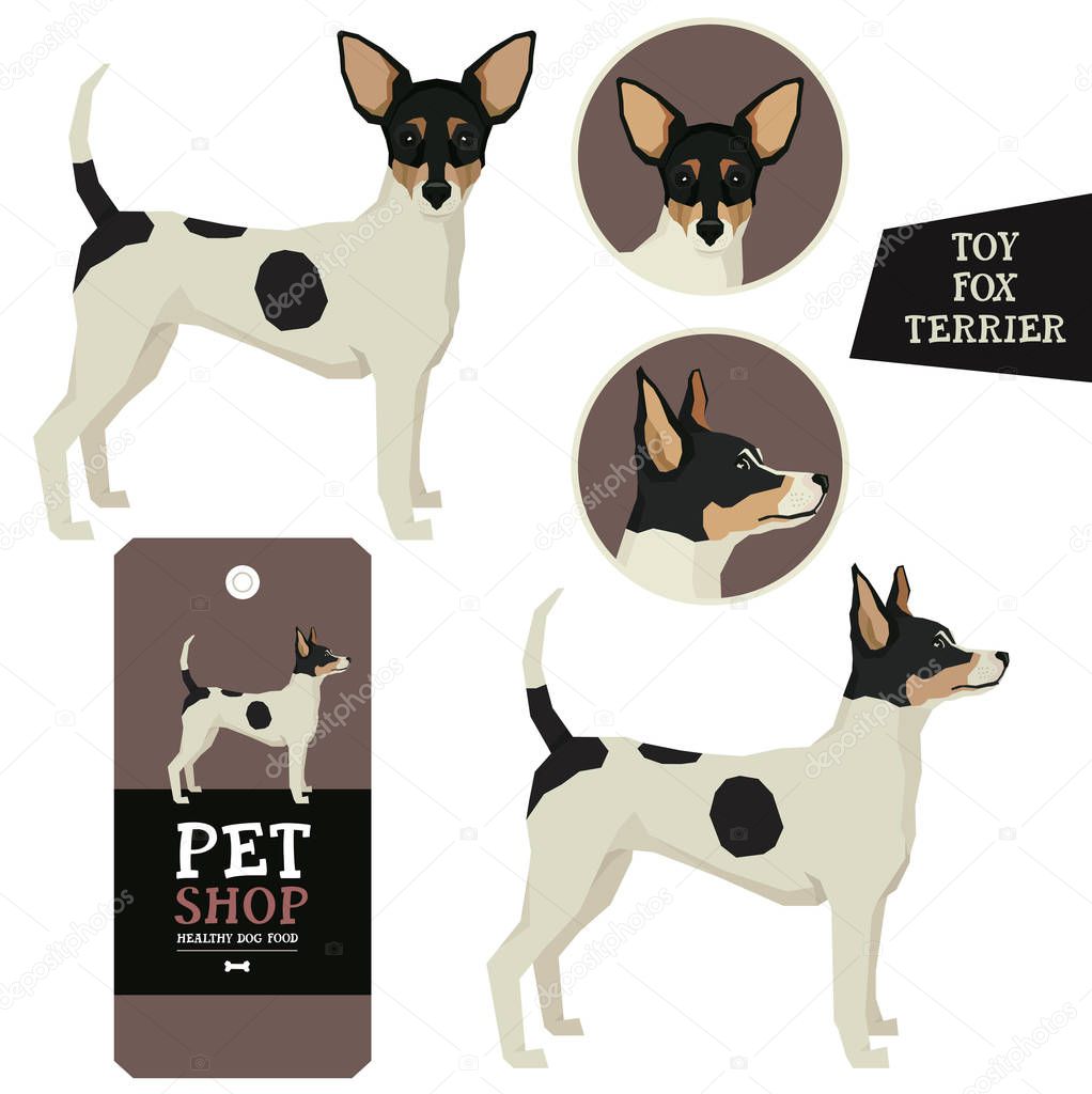 Vector illustration Dog collection Toy fox terrier  Geometric st