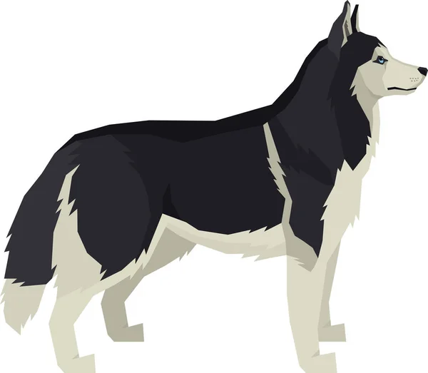 Illustrazione vettoriale Cani Siberian Husky — Vettoriale Stock