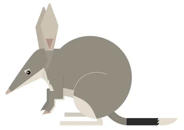 Animais selvagens Macrotis Ilustração vetorial Bilby Objeto isolado — Vetor de Stock