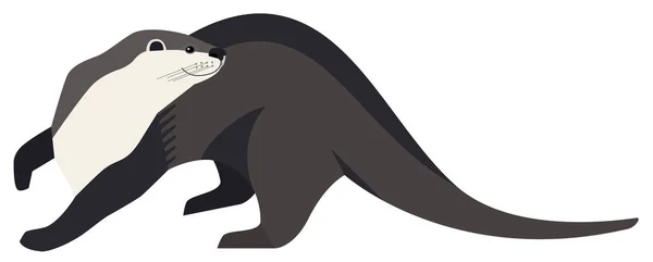 Animais selvagens Otter Ilustração vetorial — Vetor de Stock