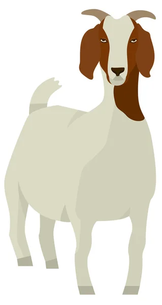 Farming set White & Brown Boer goat Vector illustration Isolated — Stock Vector