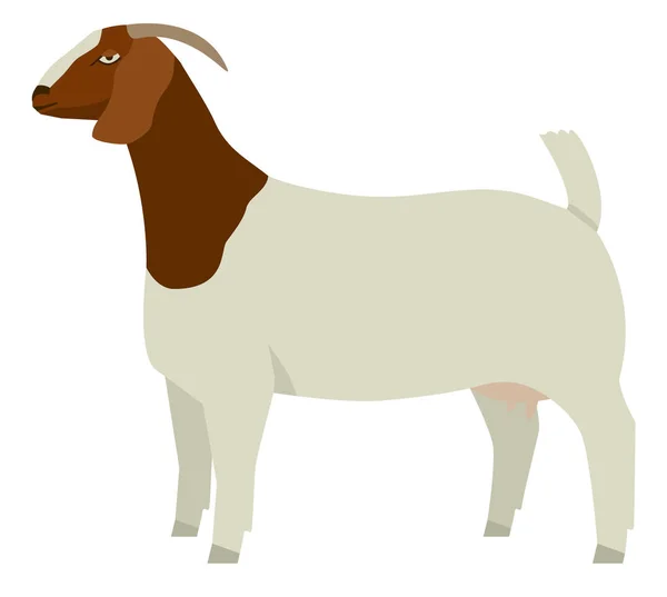 Fazenda hoje Boer cabra Doe Vector ilustração Isolado objeto — Vetor de Stock