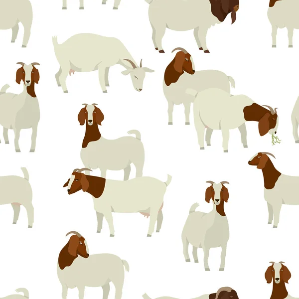 Farming today White & Brown Boer goats Vector illustration Seaml — Stock Vector