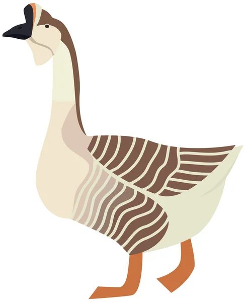 Farming today African goose Vector illustration Isolated object — 스톡 벡터