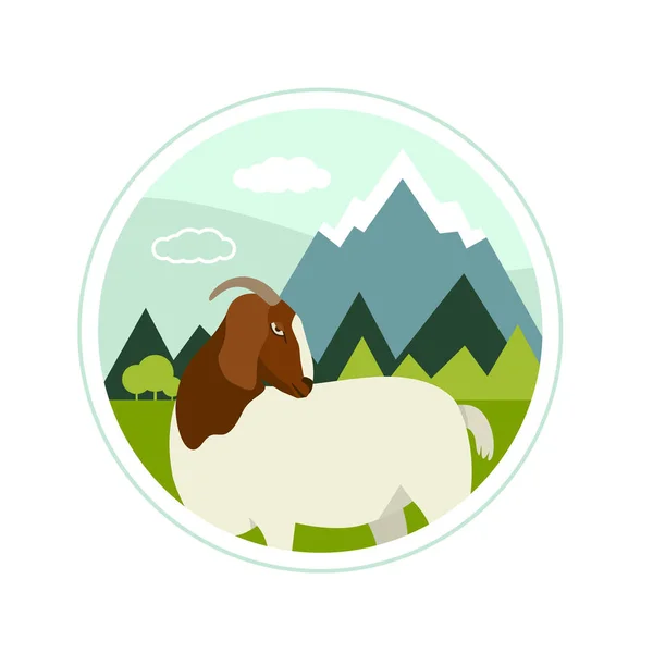 今天在高山草甸上放牧的布尔山羊 — 图库矢量图片