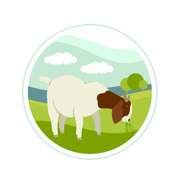 Agricultura hoy Cabra bóer en un prado verde Ilustración vectorial — Vector de stock