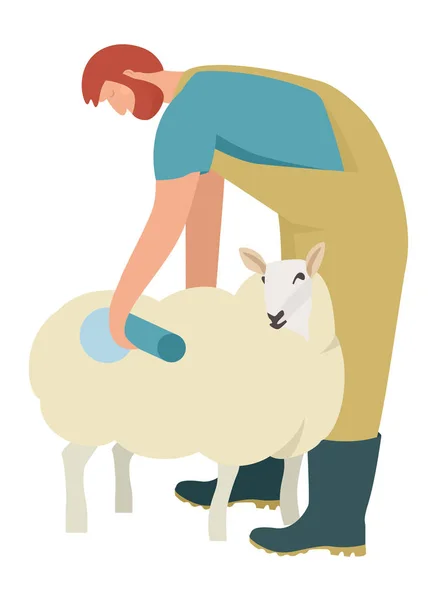 Agricultor hoje marca sua ovelha com spray azul para identificar —  Vetores de Stock