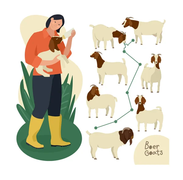 Fazenda hoje Uma mulher mamadeira alimentando um bebê boer cabra Cartoon ve —  Vetores de Stock
