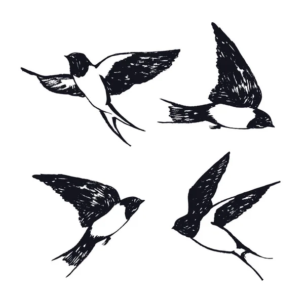 Vektor Illustrationen Der Fliegenden Schwalben Isolierte Objekte Handzeichnung Skizzenset — Stockvektor