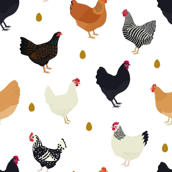 Farming Today Chicken Breeds Seamless Pattern Flat Vector Illustration Countryside — Stock Vector