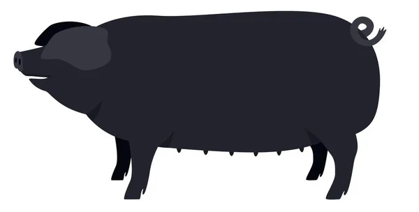 Rolnictwo Dzisiaj Duża Czarna Świnia Rasy Świń Domowych Ilustracja Wektora — Wektor stockowy