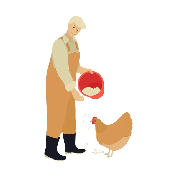 Farmer Feeding Domestic Orpington Chicken Worker Farm Poultry Farming Campagna — Vettoriale Stock