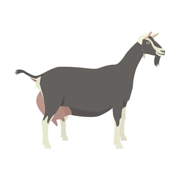 Toggenburg Goat Breeds Domestic Goats Flat Vector Illustration Isolated Object — Stock Vector