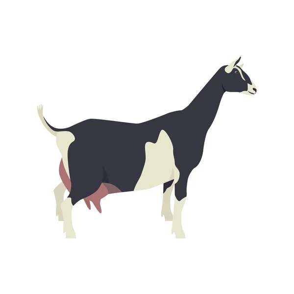 Sable Koza Plemena Domácích Hospodářských Zvířat Plochý Vektor Ilustrace Izolovaný — Stockový vektor