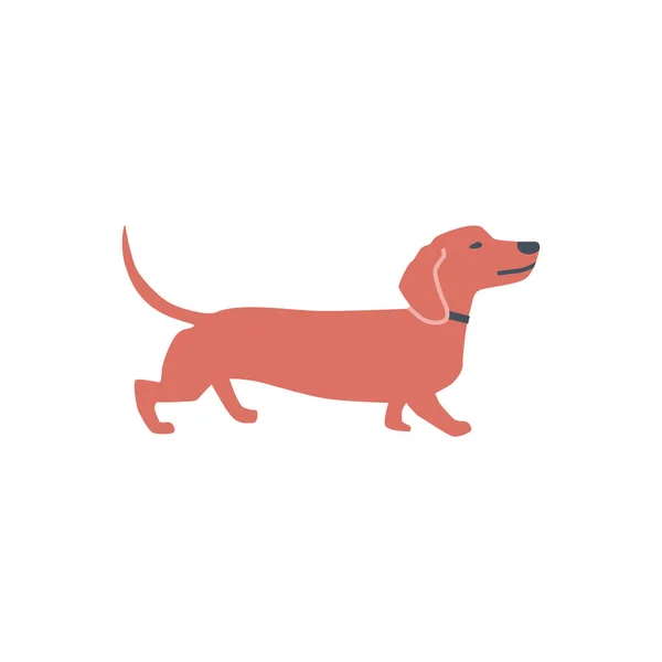 Dachshund Dog Flat Illustrazione Vettoriale Sfondo Bianco Set Vettoriale Stock