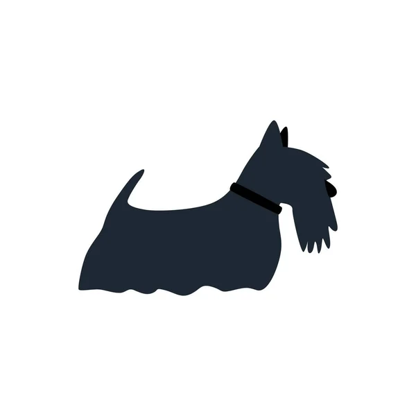 Skót Terrier Kutya Lapos Vektor Illusztráció Fehér Háttér Készlet Stock Vektor