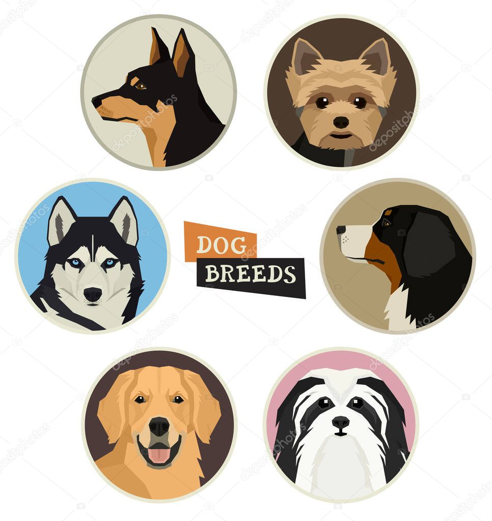 Set of dog breeds portraits in round frame Flat vector illustrations Geometric style set