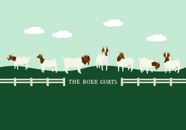 Goats Meadow Flat Vector Illustration Countryside Farmland Cattle Breeding Stock — Stock Vector