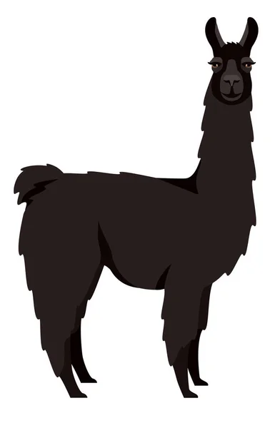 Black Llama Lama Glama Flat Vector Illustration Isolated Object Set — Stock Vector