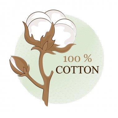 Cotton branch. 100% eco. Cotton flower. Botanical art isolated on white background. Use for printing, poster, decoration and other design. Logo. Vector. clipart
