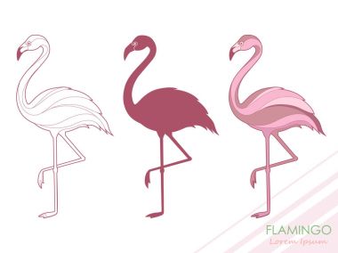 Flamingolar kümesi. Flamingolar silüeti. Tropikal bir kuş. Vektör. Logo.