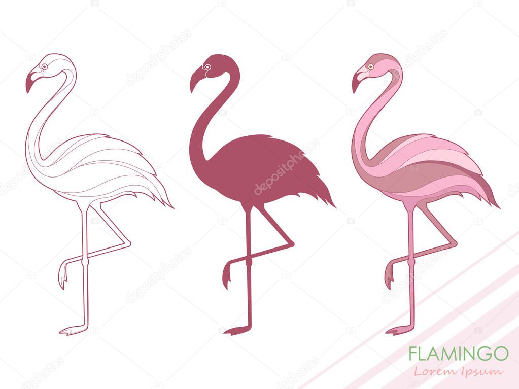 A set of flamingos. Silhouette of flamingos. A tropical bird. Vector. Logo.