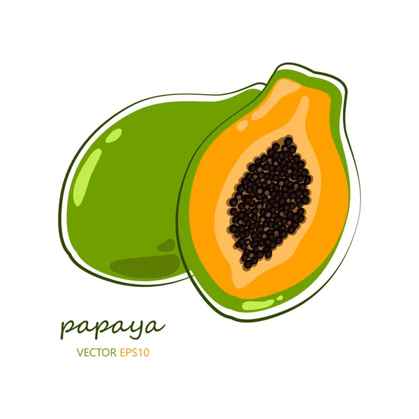 Vector Illustration Depicting Papaya Vector Flat Illustration Papaya — Stock Vector