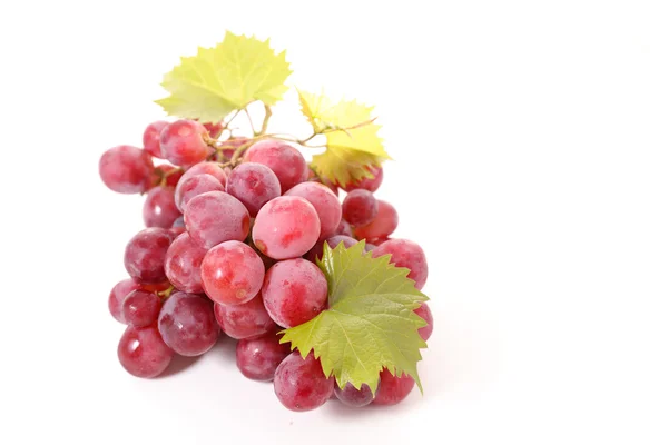 Red grapes branch Stock Picture