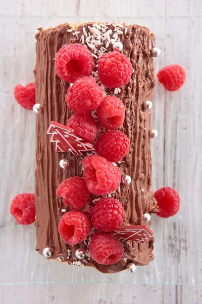 Natale log dessert — Foto Stock