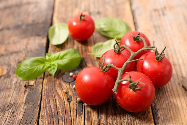 Verse tomaat en basilicum — Stockfoto