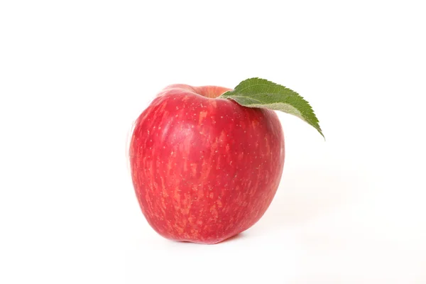 Pomme crue fraîche — Photo
