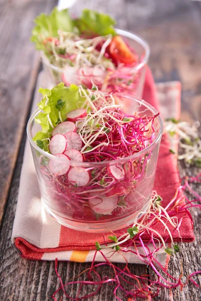 Rainbow vegetariánský salát — Stock fotografie