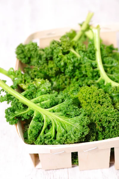 Fresh kale in basket — Stock Image Fresh kale in basket Stock Image