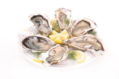 fresh oyster on white clipart
