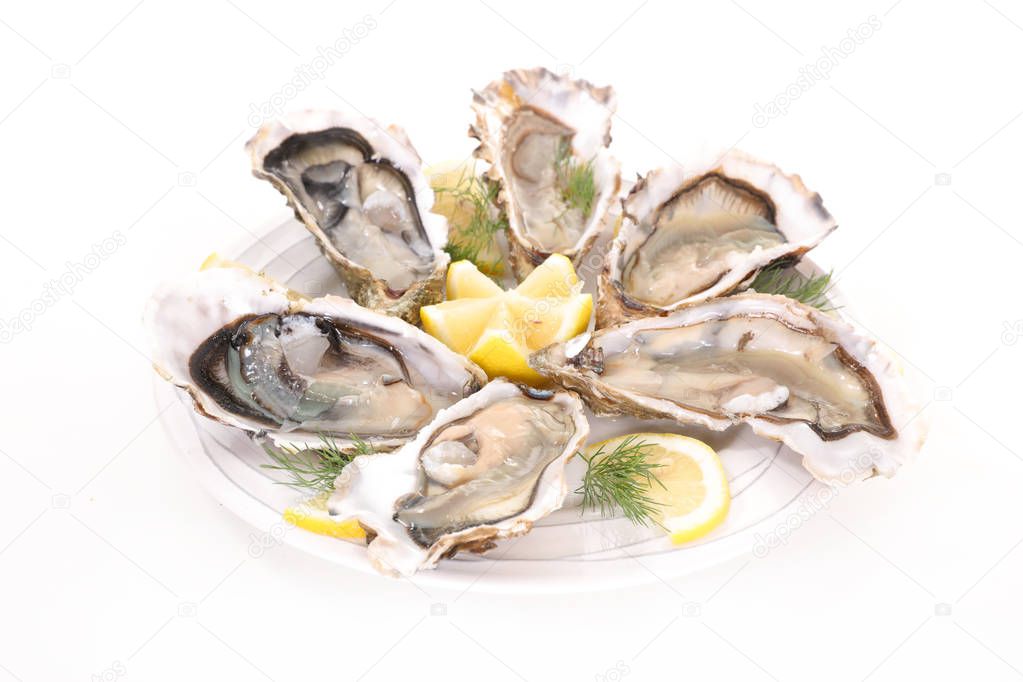 fresh oyster on white