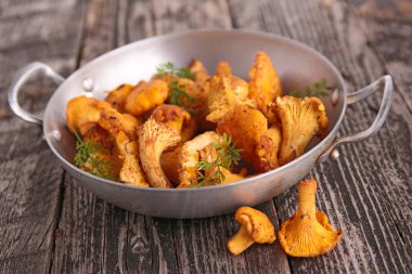 Cantharellus cibarius üzerinde kapat