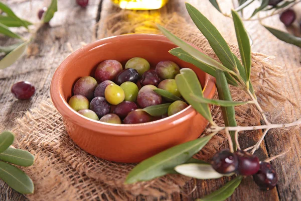 Oliven und Olivenzweig — Stockfoto