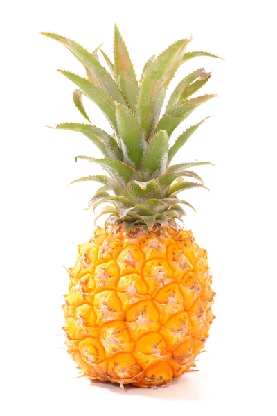 Verse rijpe ananas — Stockfoto