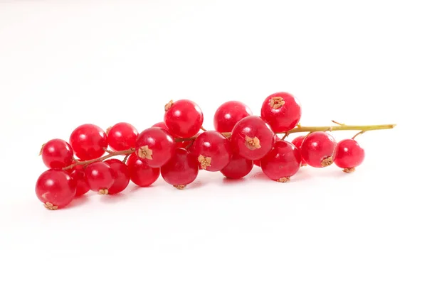 Groselha vermelha isolada em branco — Fotografia de Stock