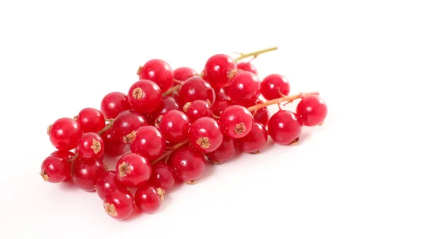 Red currants berries — Stock Photo, Image