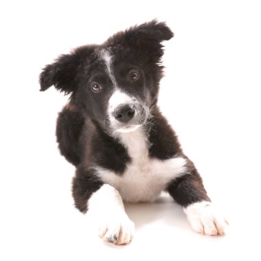 üzgün kenar kömür ocağı