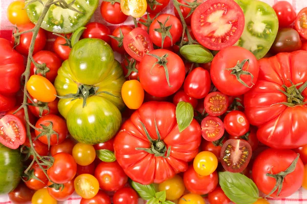 Geassorteerde rijpe tomaten — Stockfoto