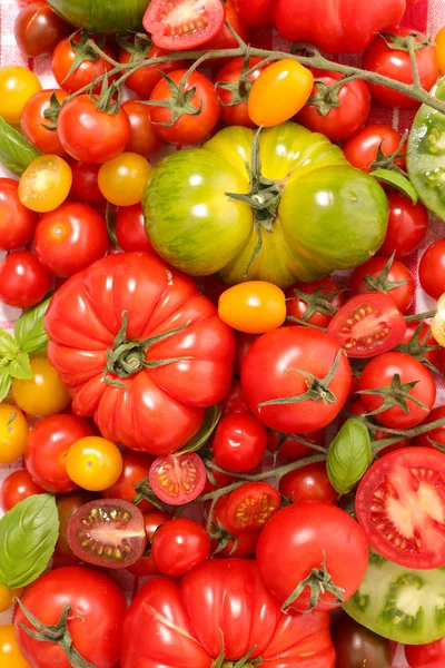 Verschiedene reife Tomaten — Stockfoto