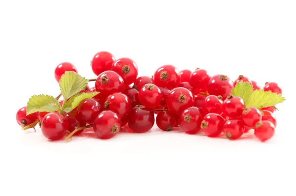 Fresh ripe redcurrant — Stock Photo, Image