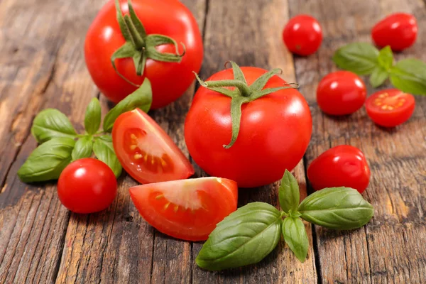 Friske tomater med basilikum - Stock-foto